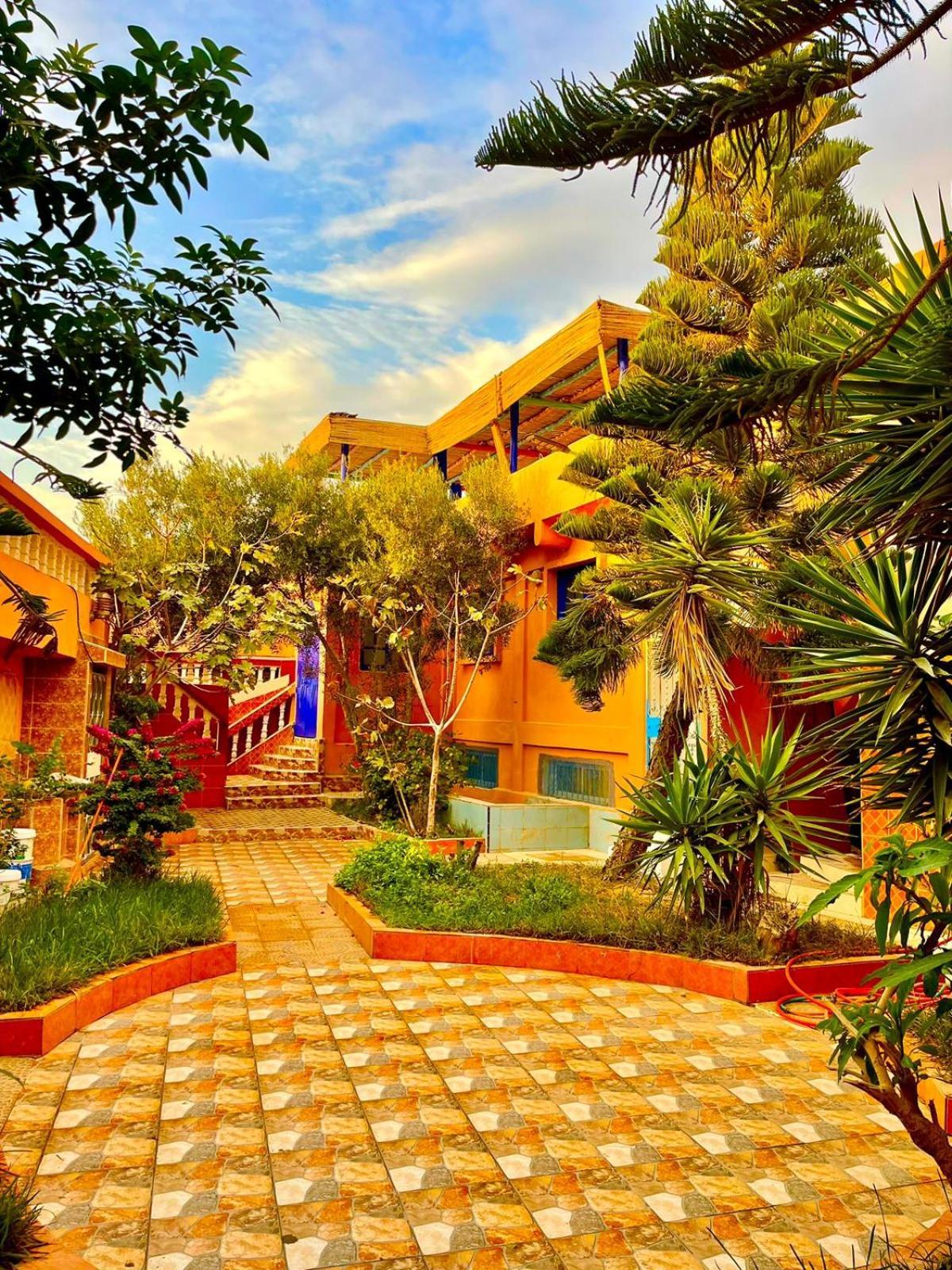 Surf & Salsa Ocean House Bed & Breakfast Tamraght Exterior photo
